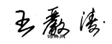 朱锡荣王严涛草书个性签名怎么写