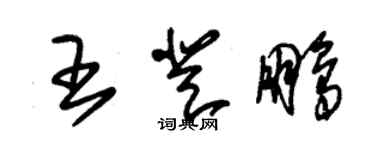 朱锡荣王登鹏草书个性签名怎么写
