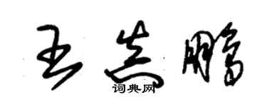 朱锡荣王真鹏草书个性签名怎么写