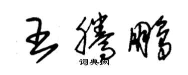 朱锡荣王腾鹏草书个性签名怎么写
