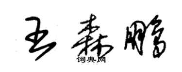 朱锡荣王森鹏草书个性签名怎么写