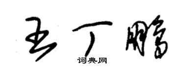 朱锡荣王丁鹏草书个性签名怎么写