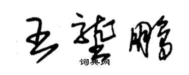 朱锡荣王垄鹏草书个性签名怎么写