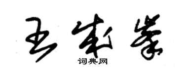 朱锡荣王成峰草书个性签名怎么写