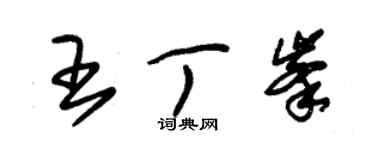 朱锡荣王丁峰草书个性签名怎么写