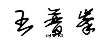 朱锡荣王普峰草书个性签名怎么写