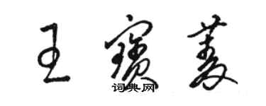 骆恒光王宝菱草书个性签名怎么写