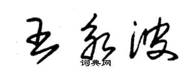 朱锡荣王永波草书个性签名怎么写