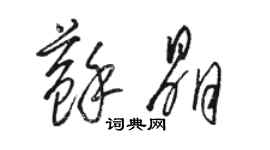 骆恒光苏晶草书个性签名怎么写