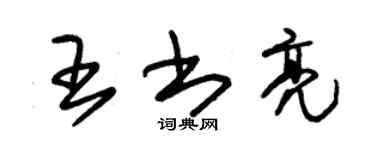 朱锡荣王书亮草书个性签名怎么写