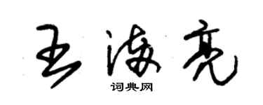 朱锡荣王满亮草书个性签名怎么写