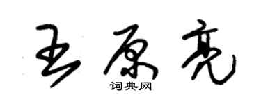 朱锡荣王原亮草书个性签名怎么写