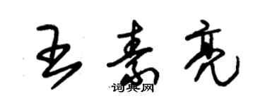 朱锡荣王素亮草书个性签名怎么写