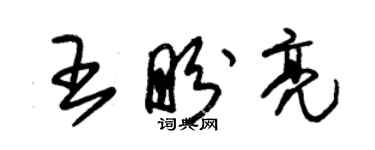 朱锡荣王盼亮草书个性签名怎么写