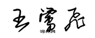 朱锡荣王莺飞草书个性签名怎么写