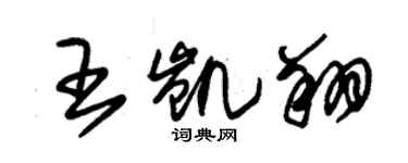 朱锡荣王凯翔草书个性签名怎么写