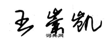 朱锡荣王崇凯草书个性签名怎么写
