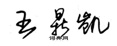 朱锡荣王鼎凯草书个性签名怎么写