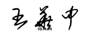 朱锡荣王华中草书个性签名怎么写