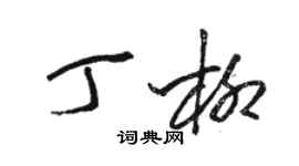 骆恒光丁柳草书个性签名怎么写