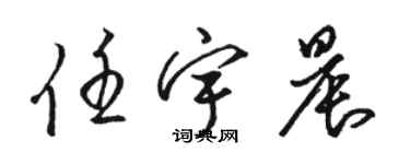骆恒光任宇晨草书个性签名怎么写