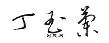 骆恒光丁玉兰草书个性签名怎么写