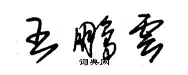朱锡荣王鹏云草书个性签名怎么写
