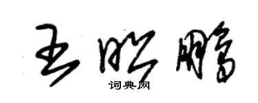 朱锡荣王昭鹏草书个性签名怎么写