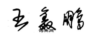 朱锡荣王鑫鹏草书个性签名怎么写