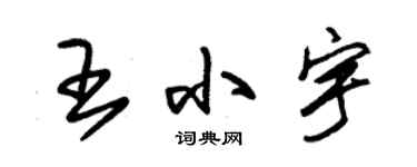 朱锡荣王小宇草书个性签名怎么写