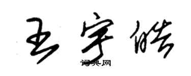 朱锡荣王宇皓草书个性签名怎么写