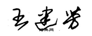 朱锡荣王建芳草书个性签名怎么写