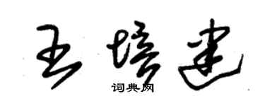 朱锡荣王培建草书个性签名怎么写