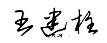 朱锡荣王建柱草书个性签名怎么写