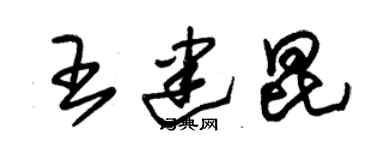 朱锡荣王建昆草书个性签名怎么写