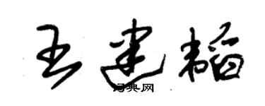 朱锡荣王建韬草书个性签名怎么写