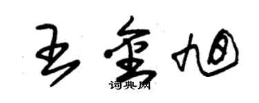 朱锡荣王金旭草书个性签名怎么写
