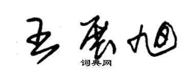 朱锡荣王展旭草书个性签名怎么写