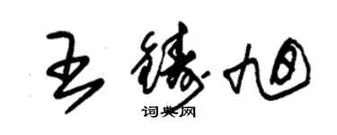 朱锡荣王铸旭草书个性签名怎么写