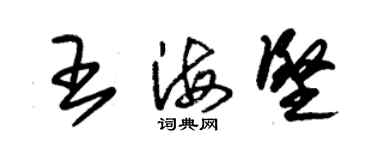 朱锡荣王海坚草书个性签名怎么写