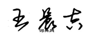 朱锡荣王晨吉草书个性签名怎么写