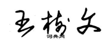 朱锡荣王树文草书个性签名怎么写