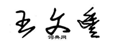 朱锡荣王文丰草书个性签名怎么写