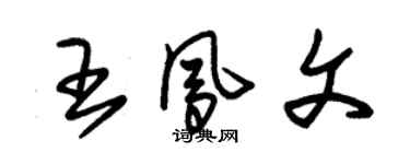 朱锡荣王凤文草书个性签名怎么写