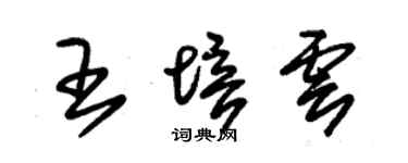 朱锡荣王培云草书个性签名怎么写