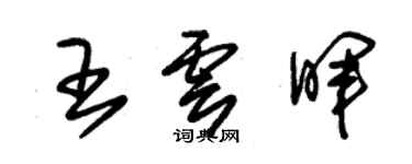 朱锡荣王云晖草书个性签名怎么写