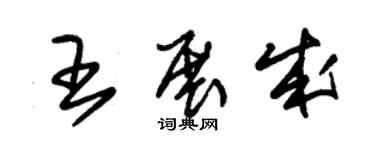 朱锡荣王展成草书个性签名怎么写
