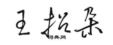骆恒光王招朵草书个性签名怎么写