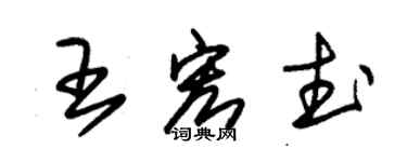 朱锡荣王宏武草书个性签名怎么写