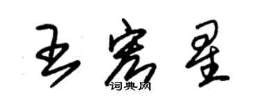 朱锡荣王宏星草书个性签名怎么写
